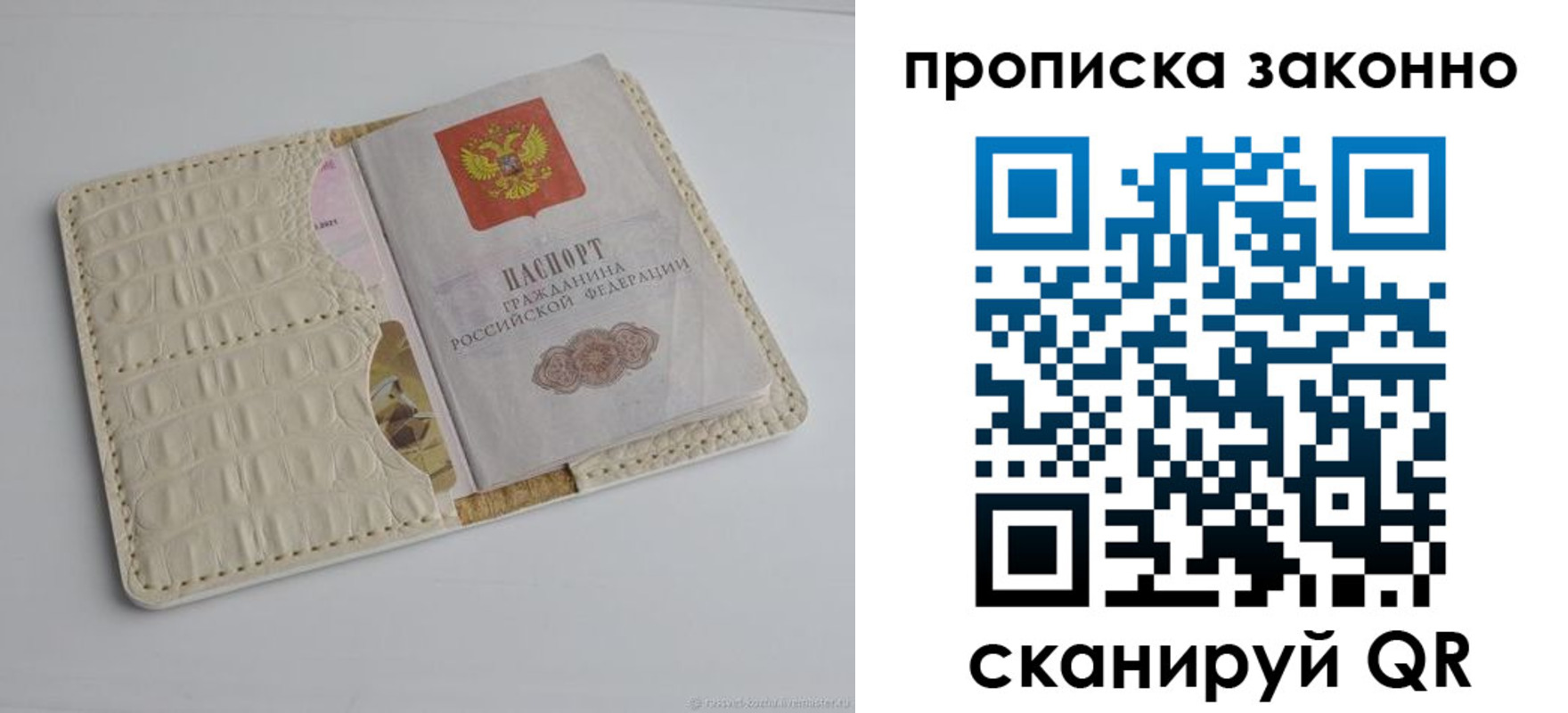временная прописка в Димитровграде